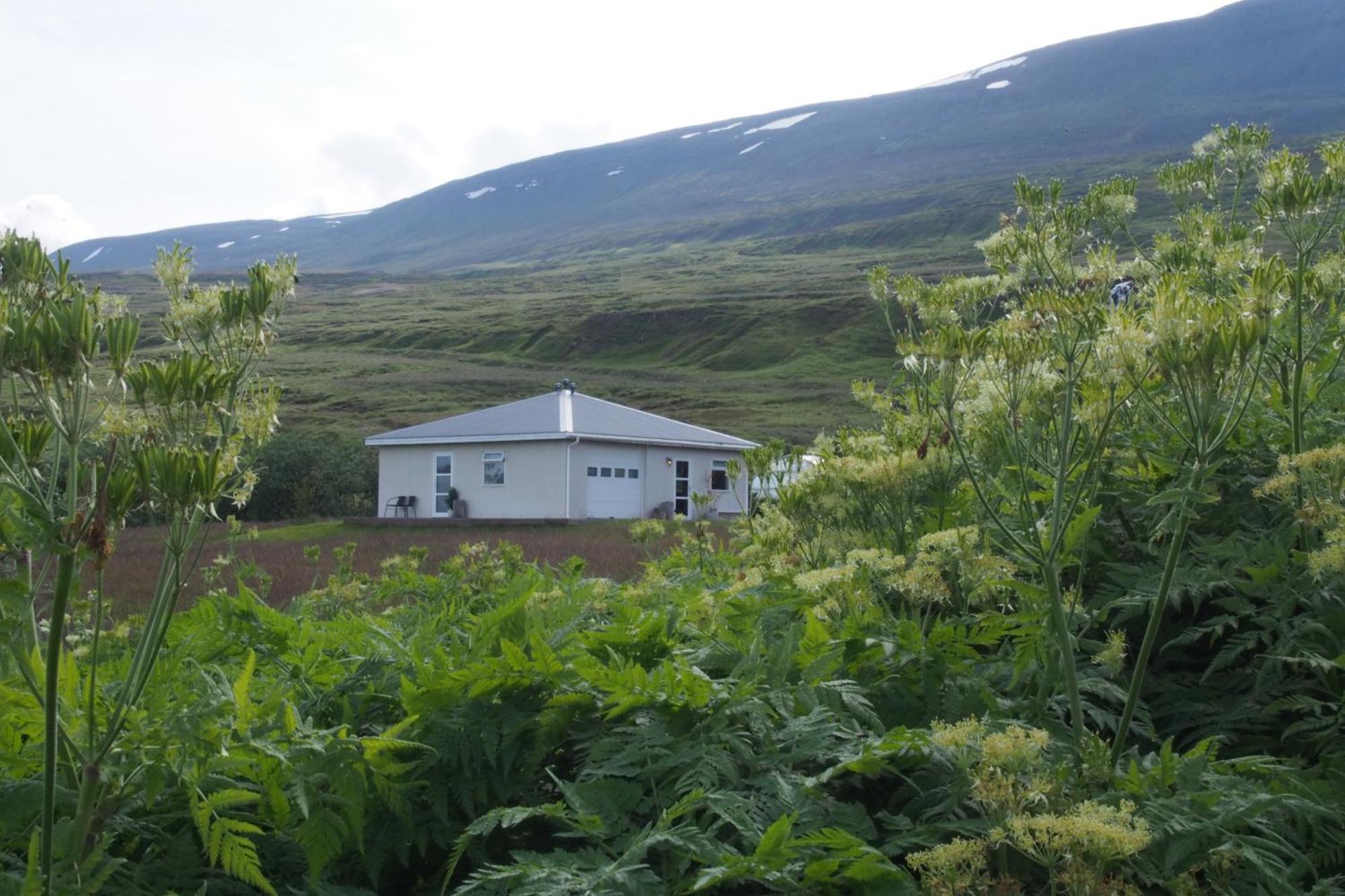 Húsavík Granastathir Guesthouse מראה חיצוני תמונה