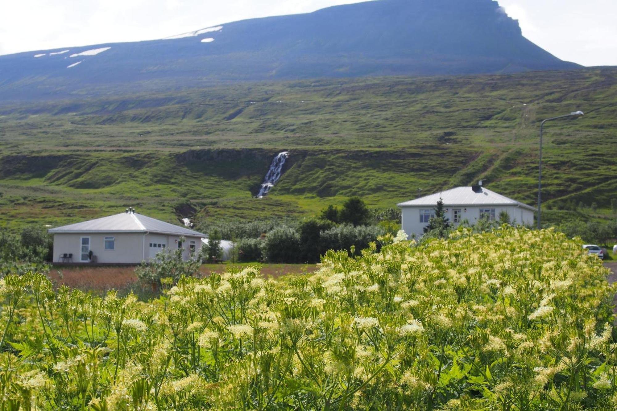 Húsavík Granastathir Guesthouse מראה חיצוני תמונה
